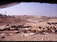 foto0034