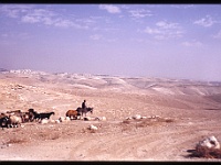 foto0035