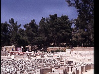 foto0054