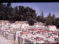 foto0055