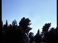 foto0028