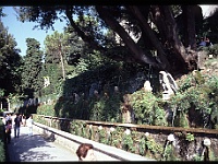 foto0033