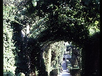 foto0034