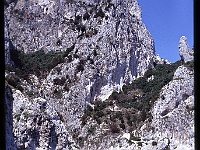 foto0061