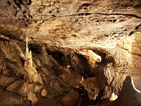 PICT0206