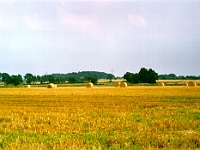 PICT35