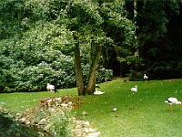 PICT54