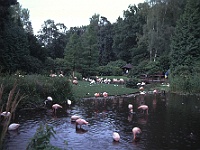 PICT56