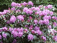 PICT0691