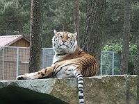 PICT0724