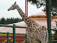 PICT0727