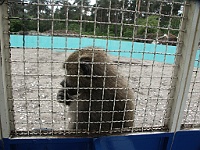 PICT0740