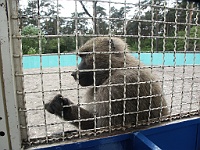 PICT0741