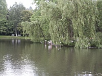 PICT0743