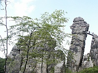 PICT0790