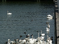 PICT0844