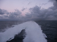 PICT0948