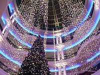 PICT0984