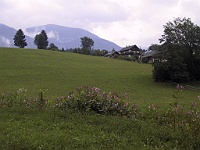 PICT1558A