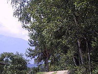 PICT1731a