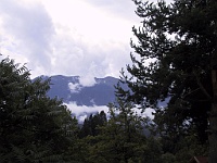 PICT1731e