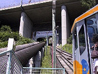 PICT1831b