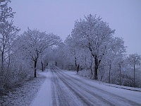 PICT2044b