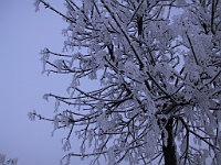 PICT2044c