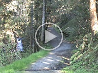 M2U00050  Toch nog eens door de bossen wandelen voor moeder. Het paadje waar wij altijd vanuit de camping naar het dorp liepen. Boven moeder en Hanneke uit laten stappen, daarna konden ze over het pad naar beneden lopen met zus en hanneke om moeder te ondersteunen.