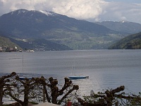 PICT2233c
