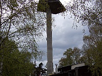 PICT2242a