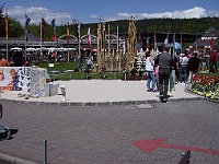 PICT2246c