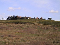 IMG 1916