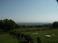 PICT2290