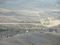 PICT2335