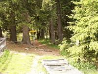 PICT2484