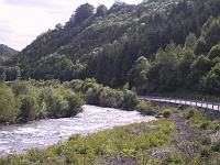 PICT2492B