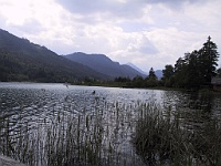 PICT2500D