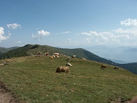 PICT2576