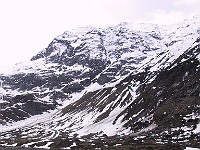 IMG 2325