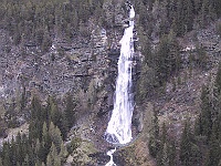 IMG 2338