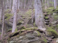IMG 2381