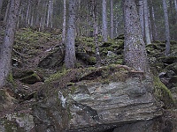 IMG 2382