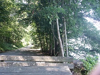 PICT2929  Als je echt uit het bospaadje komt heb je diverse picnic tafels met banken er omheen. Vanaf dit punt ongeveer 2km naar de aanlegsteigers. Je hebt dan een gecombineerde weg met fietsers. We zijn met Schutz teruggevaren naar Seeboden(bloemenpark) voor 1,50 per persoon (millstatter carte anders was het 3,00 per persoon).