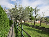 IMG 0034