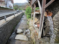 IMG 0037