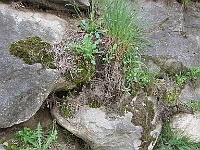 IMG 0039
