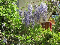 IMG 0042