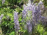 IMG 0043