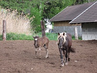 IMG 0053